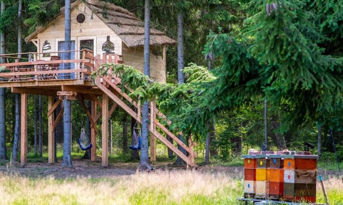 Osecna Otro | Treehouse U lesa