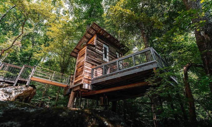 Flintstone Casa | Treetop Hideaways: Luna Loft Treehouse