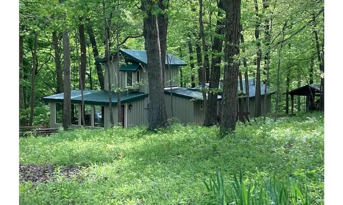 Highland  Vermillion County Cabina | Treetops Cabin in the Woods!