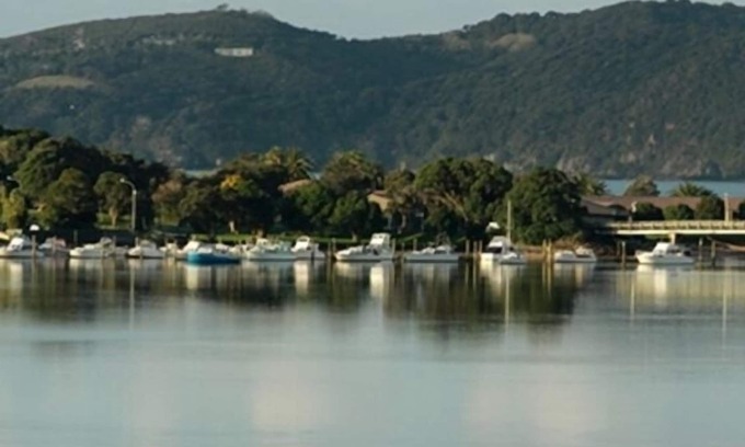 Haruru Casa | Copas de los árboles: espectaculares vistas al río y al mar