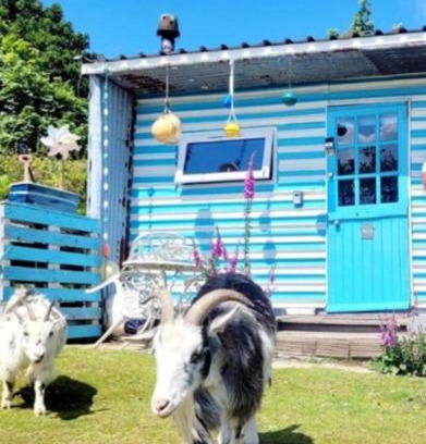 Redruth Otro | Treguth Glamping Unique Experience - Themed Huts