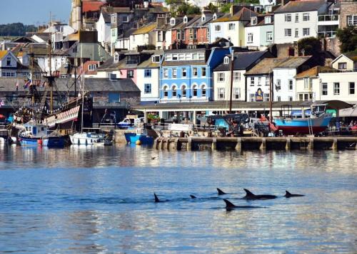 Torquay City Centre Casa | Trelawney Hotel - Guest House