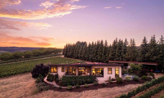 Dundee Casa | Trellis at Baptista Maresh Vineyard