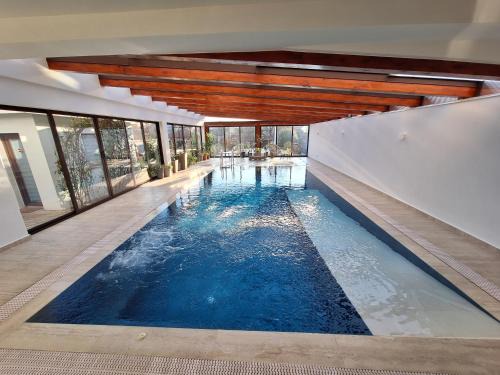 Arad Casa | TREND - cazare, gradina, piscina