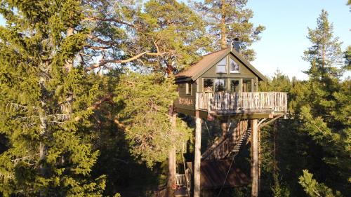 Engerdal Cabina | Tretopphytta Kraggbua