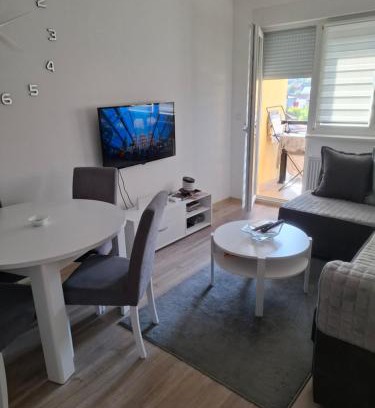 Banja Koviljaca Apartamento | Tri Palme 2