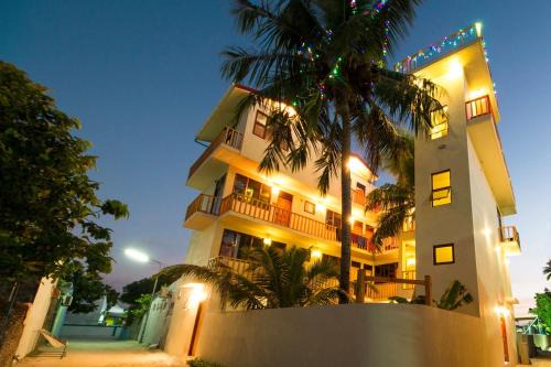 Gulhi Casa | Tropic Tree Maldives