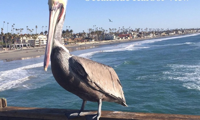 Oceanside Complejo | Family Fun Resort en la playa con arena, surf, puerto en Oceanside, California