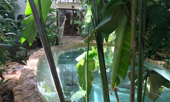 Merida Municipality Casa | Tropical Cenote Loft North City 420