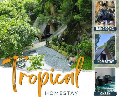 Cam Pha Apartamento | Tropical Forest Homestay