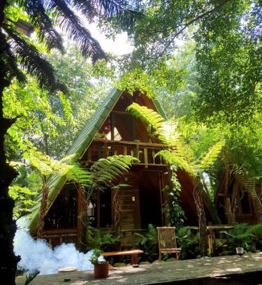 Duc Trong Chalet De Esquí | tropical garden homestay