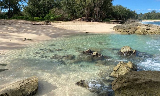 Kahuku Casa | Tropical Getaway perfect for families, near beach, free wifi