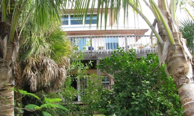 Placida Casa | Casa tropical enclavada entre los cocos
