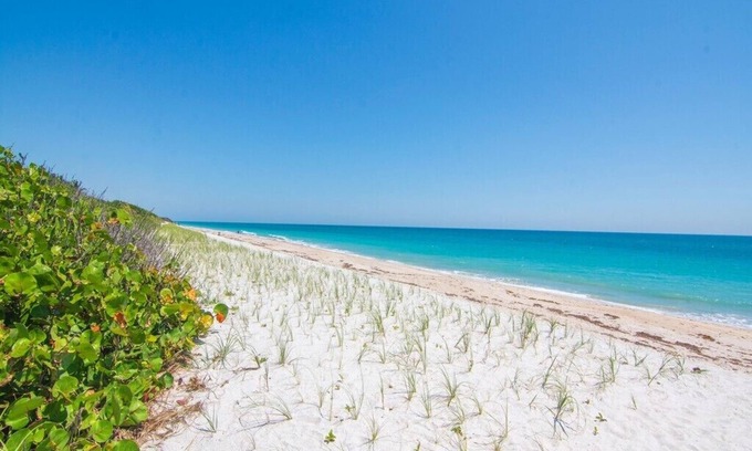 Wabasso Beach Casa | Tropical Paradise, just a short walk to the beach.