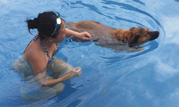 Shanjiao Cama Y Desayuno | True Love Villa
