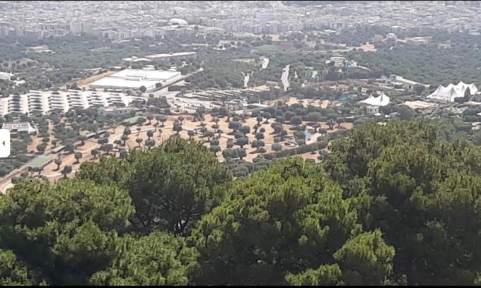 Selva di Fasano Hotel | Trullo dell'Immacolata - Casa vacanze gestita da suore