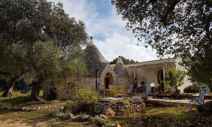 Ceglie Messapica Cabaña | TRULLO en el olivar de hoja perenne, en el talón de Italia, Puglia.