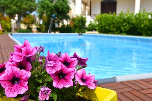 Cisternino Casa | Trullo Suite