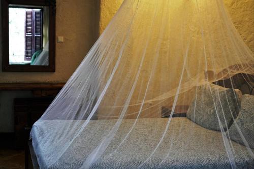 Bole Casa | Tryst Boutique Hotel