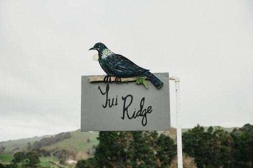 Waikato District Casa | Tui Ridge Cottage