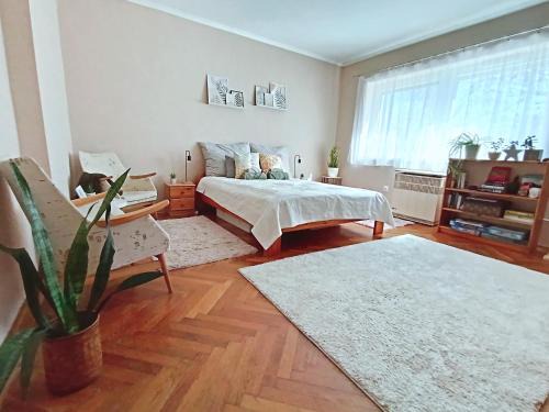Bekescsaba Apartamento | Tulipán Apartman