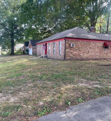 Memphis Casa | Tulip Tree Cottage