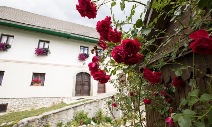 Studor Apartamento | Turistična kmetija Gartner