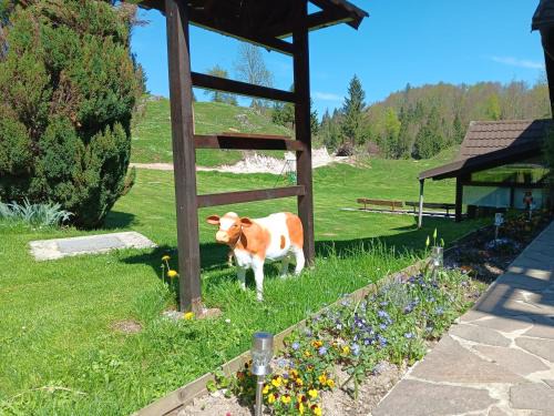 Crni Vrh Cama Y Desayuno | turistična kmetija pr mark