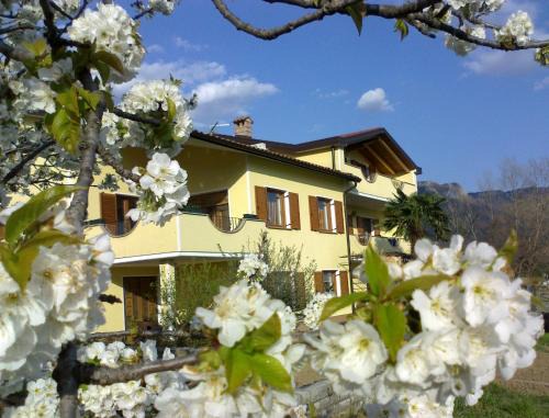 Lokavec Apartamento | Turistična kmetija Pri Rebkovih