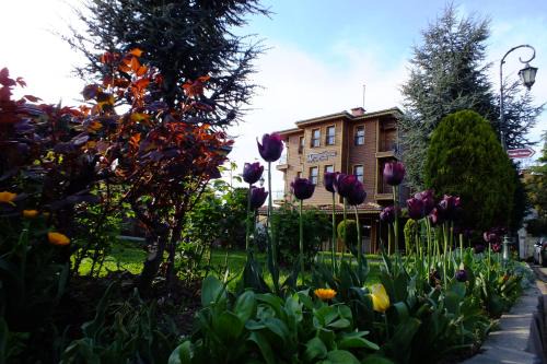 Sakarya Province Hotel | Turquhouse Hotel