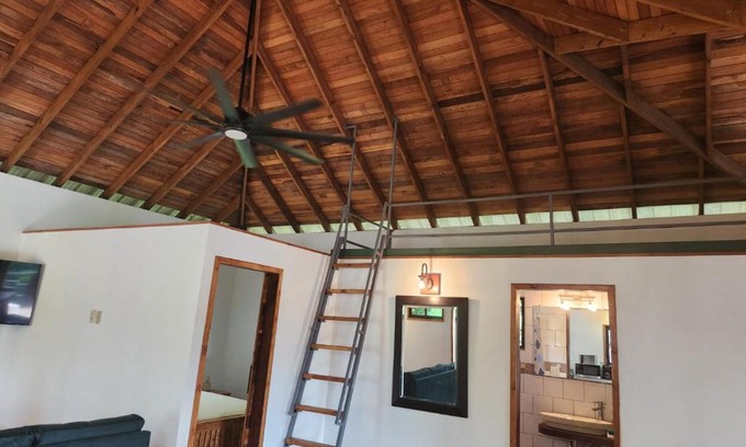 Bullet Tree Falls Casa | Turtle Suite