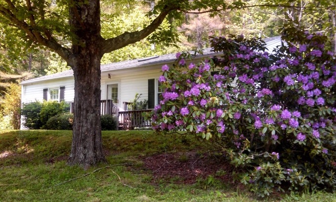 Upperglade Casa | Tranquilo, acogedor, frente al río 3 BR casa con vistas a la montaña y al bosque