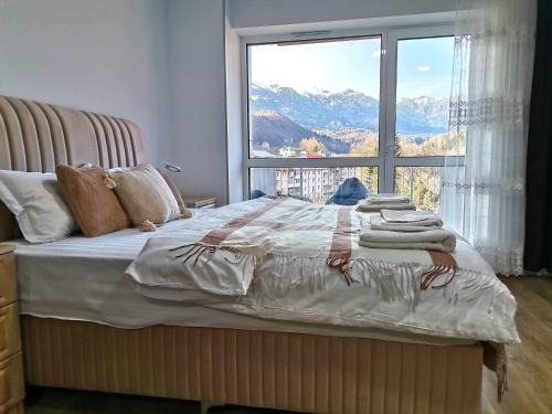 Sinaia Apartamento | Tutu Apartment Sinaia