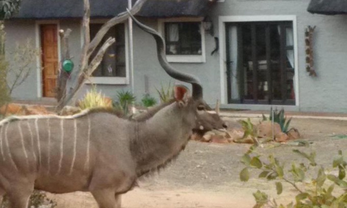 Bela-Bela Casa | Twenty Four Mabalingwe Nature Reserve