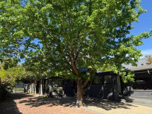Stellenbosch Central Casa | Twice Central Guest House
