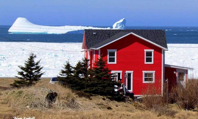 Twillingate Casa | Twilly House