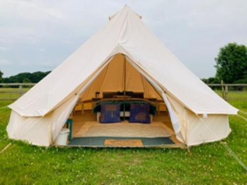 New Forest District Otro | Twinkle Bell 1