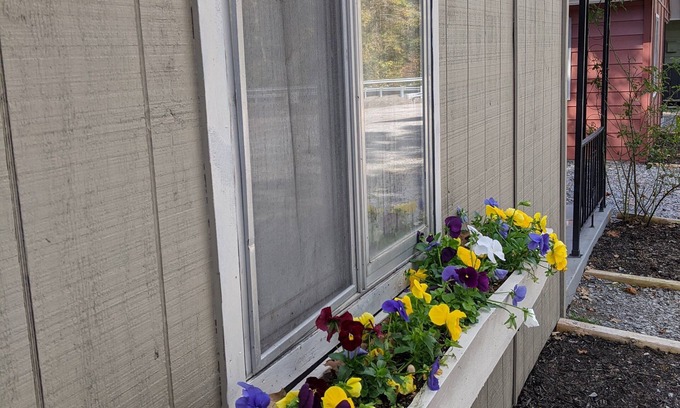 Cadiz Cabina | Two Bedroom Cabin adjacent to Lake Barkley State Park