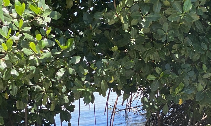 Cabo Rojo Condominio | Two one bedroom apartments that are connected thru a door that can be locked,