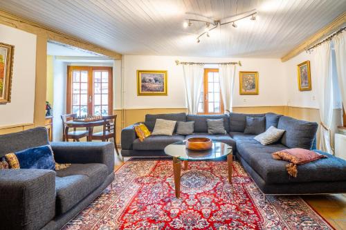 Dambach-la-Ville Casa | Typical Alsace house - ideal for groups and families