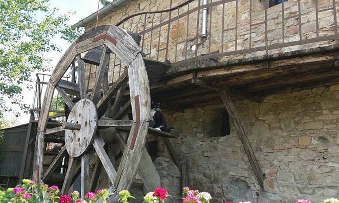 Porrena Casa | típica casa de campo en la Toscana "Il Molino"