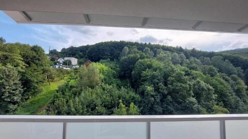 Trencianske Teplice Apartamento | U babiny