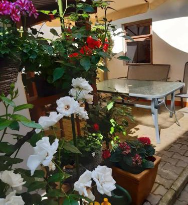 Valtice Apartamento | U paní malířky