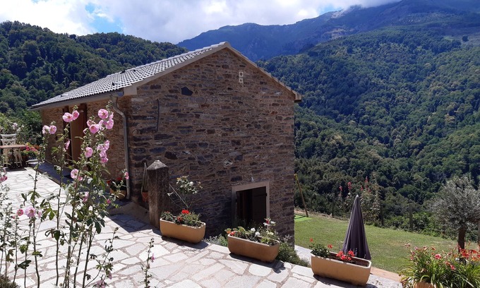 Carpineto Casa | U RATAGHJU - Región OREZZA - CASTAGNICCIA - CORSICA SUPERIOR