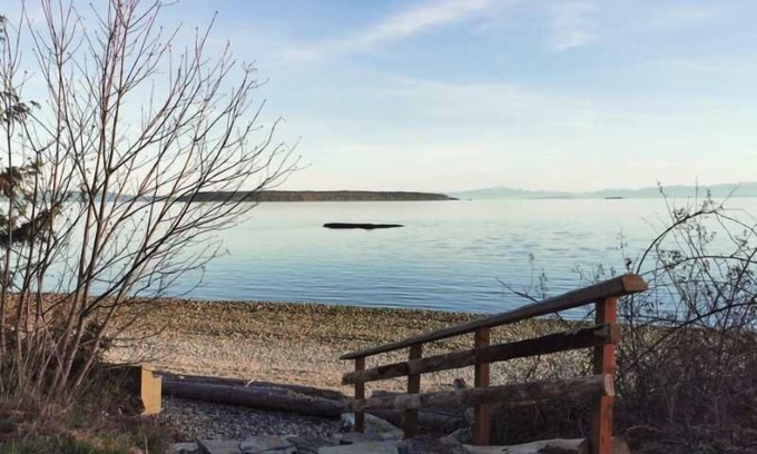 Powell River Apartamento | U1 Seaside Serenity: Seal Bay Glamping Retreat