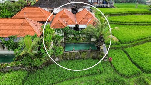Kenderan Villa | Ubud Upscale 2BD Villa Vista Verde - Guest Favorite
