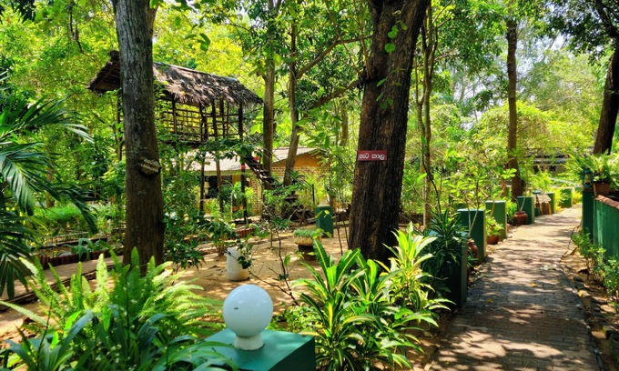 Udawalawa Complejo | Udawalawe Safari VIllage By Plateeno
