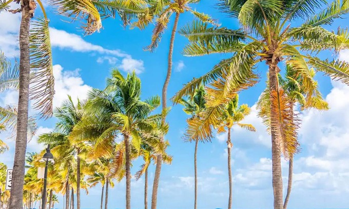 Downtown Fort Lauderdale Apartamento | Uhost AI 1B Retreat Fully Equipped w Patio