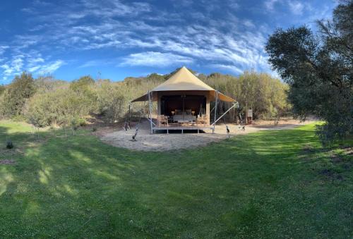 Fingal Otro | Ukiyo Nature Retreat