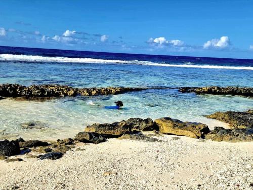 Temae Apartamento | Un écrin de paix au soleil et proche de la mer